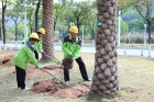 “植”入盎然生機！這個春天，“城市園丁”在忙什么？